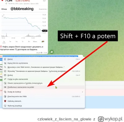 czlowiekzlisciemnaglowie