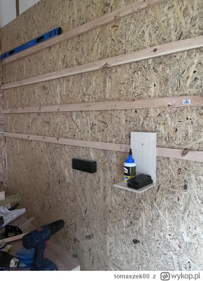 tomaszek00 - Szopa rosnie, polki pod french cleat zamontowane. Pierwszy test mocowani...