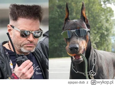 ajapai-dub - #danielmagical 
Azor mamy nowe zlecenie