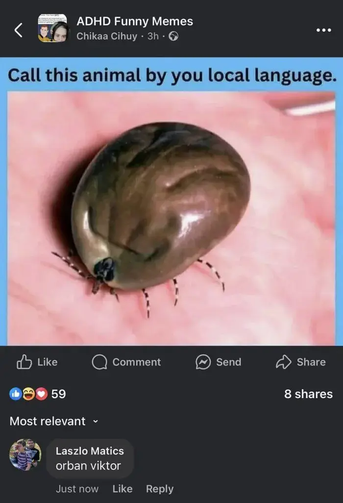 marusz - Króciutko z kacapskim pomiotem.

#rosja #wegry #ukraina