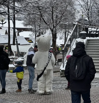 ForTravelSayYes - Łazi ten pajac ciągle 
#zakopane
#podhale
#afera
#polska