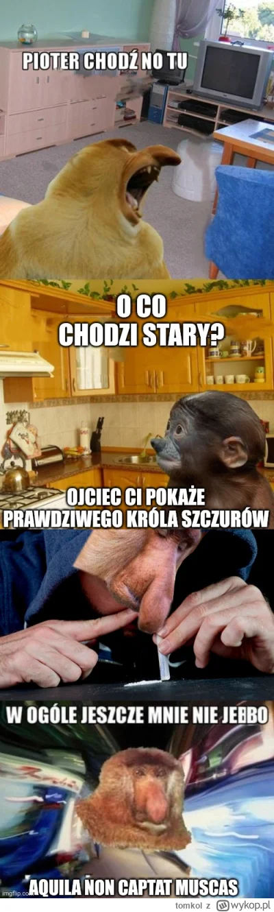 tomkol - #konkursnanajbardziejgownianymemznosaczem