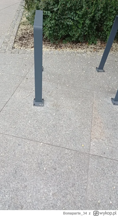 Bonaparte34 - @Bonaparte34 nie wiem co się stało, ale że wywołałem zamieszanie przysz...