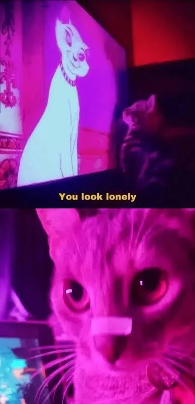 czarnoibialo - @Sirius_Son wir runner, lap plusika i rob wiecej