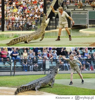 Klotzmann - Steve Irwin i jego syn karmiący tego samego krokodyla 15 lat później