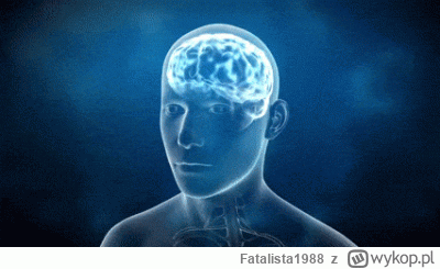 Fatalista1988 - Rosjanie napadli na polskiego ambasadora w Rosji. Jako że jestem Pola...