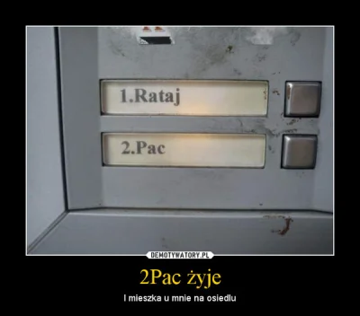 jednorazowka - @troglodyta_erudyta: