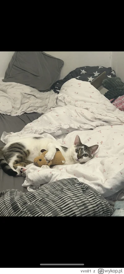 vvn81 - spojrzcie na mojego synka