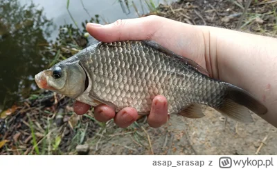 asap_srasap - #wedkarstwo #spierdotrip czy można iść w piątek rano na ryby? Można. Wy...