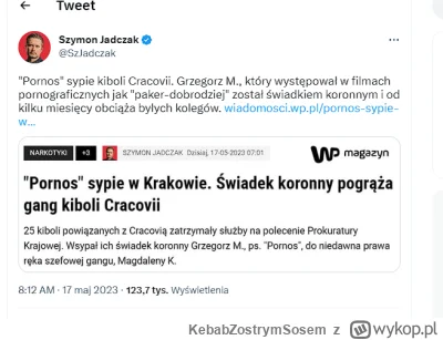 KebabZostrymSosem - Uniwersum dowozi z pełną mocą
#tetrycy #ekstraklasa #cracovia