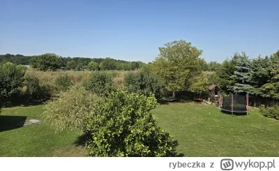 rybeczka - #dziendobry #krakow

W ten upalny dzień zapraszam Wszystkich aby odpocząć ...