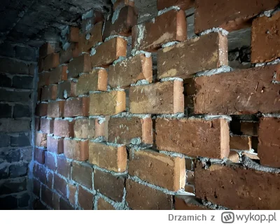 Drzamich - Mam w piwnicy taką częściowo ażurową ścianę działową na pół cegły. Chciałb...