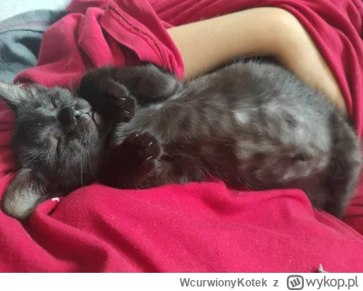 W.....k - @szzzzzz Dodatkowa dawka cukru (｡◕‿‿◕｡)