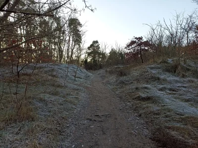 Baczny_Obserwator - #przegryw #spierdotrip