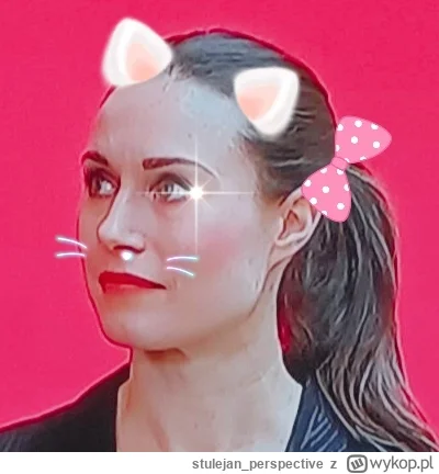 stulejan_perspective