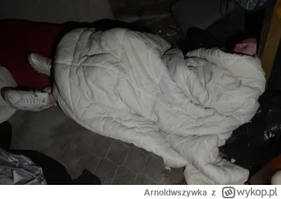 Arnoldwszywka - #papasmerfik madzera to jest prze gość, nogi na materacu a reszta na ...