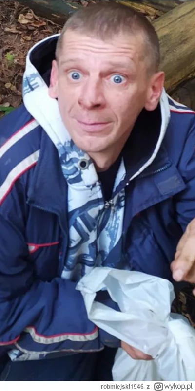 robmiejski1946 - @gabapentyn JA JAK OSA BYM UŻĄDLIŁ