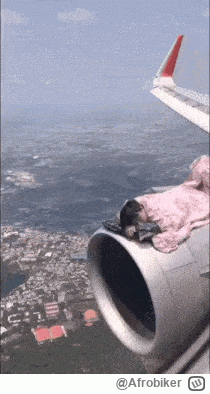 Afrobiker - Kto znowu zaspał?