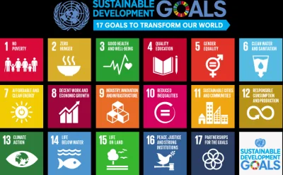 plat1n - https://www.un.org/sustainabledevelopment/blog/2015/12/sustainable-developme...