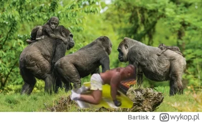 Bartisk - Może teraz nowa ksywa? Denis King Kong Załęcki?
#famemma