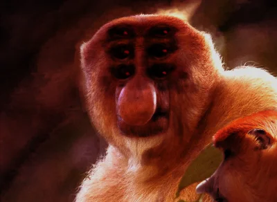 kvtasjusz-mgbewe - macie miruny pomysł o jaki scam może chodzić? Ostatnio napisał do ...