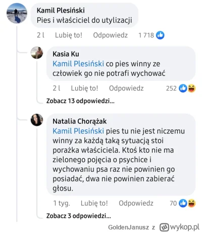 GoldenJanusz - Jakiś filmik na fb mi mignął z pogryzienia dziecka, rasa psa doskonale...