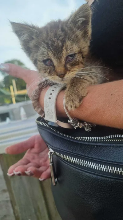 Lujdziarski - @Lujdziarski a tak wyglądał :)