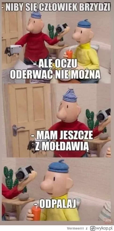 Vermeerrr - #heheszki #czarnyhumor #polskapilka #memy