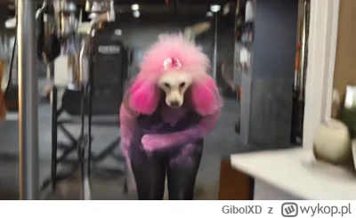 GibolXD - #famemma Przygotujcie się dzisiaj mocne dymy widzowie