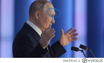 6na10cel - @AdamKarolczak02137: Putin ma dobrze rozwinięty łuk brwiowy jak i forward ...