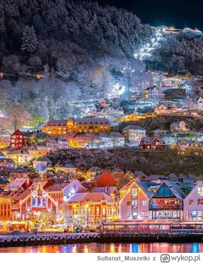 Sultanat_Muszelki - Bergen, Norwegia.

(Zdjęcie nie moje)