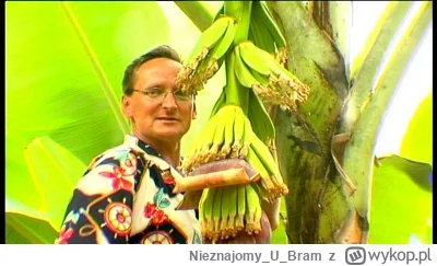 NieznajomyUBram - Bananowce w lidlu są po 20 zł to może chłop plantacje założy na bal...