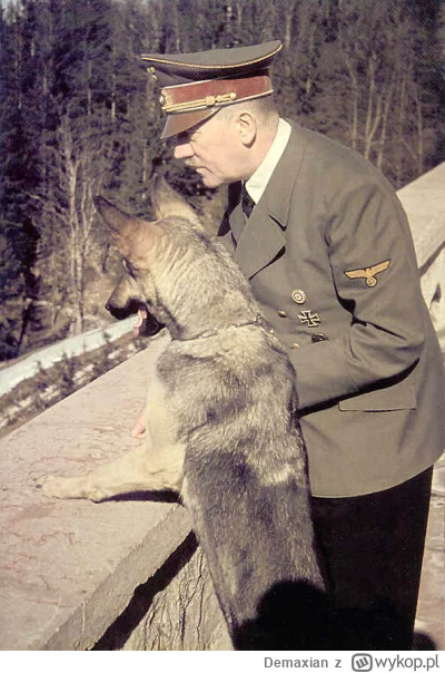 Demaxian - @bArrek: 
Jeszcze będziecie prosić żeby tacy Was bronili przed imigrantami...