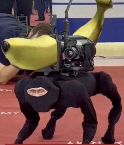 NeonTurtle - @qeti: banan?