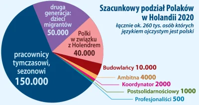 m.....u - Polki nie mają problemu z Holendrami, co trzecia Polka w NL ma faceta Holen...