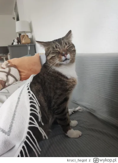 kruci_hegot - @szzzzzz: