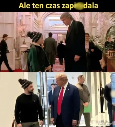 enforcer - #heheszki #trump