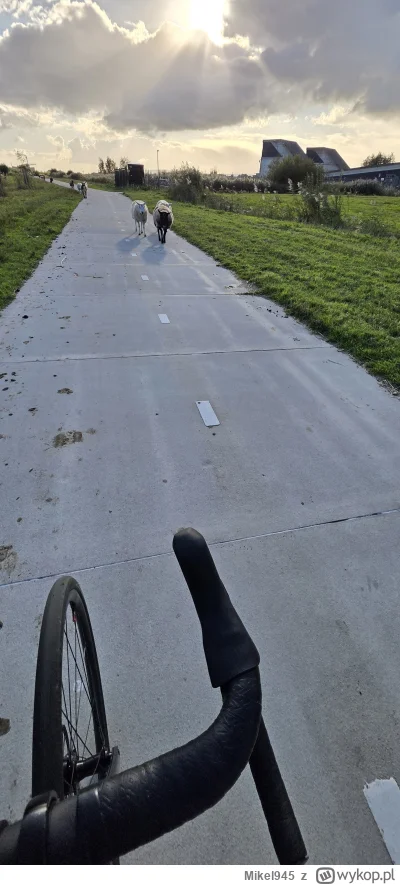 Mikel945 - 319 069 + 50 = 319 119

Pod prad sie pchaja bara... tzn. owce, a obok maja...