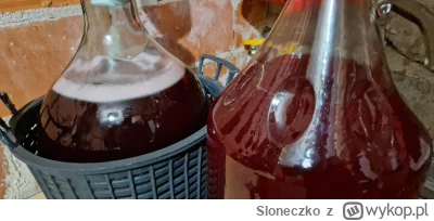 Sloneczko - Czołem winiarze #wino #winodomowejroboty #winodomowe #fermentujzwykopem  ...