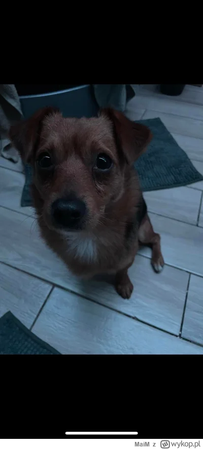 MaiM - @MaiM tu fotka wykonana 4 miesiące temu z przyjęcia zarobaczonego gałganiaka