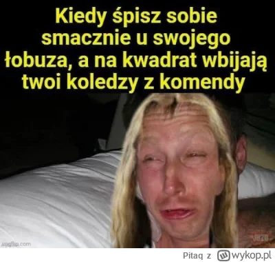 Pitaq - #heheszki #humorobrazkowy #tarnobrzeg