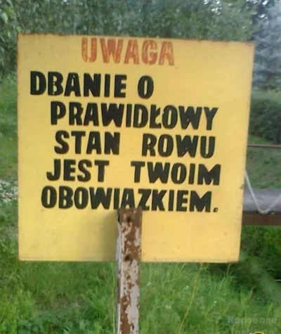 bellacavem - @onogero: dla ciebie, dziadzia irek jest inna plansza.
I nie pisz na kac...