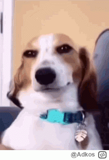 Adkos - Sikorski ( ͡º ͜ʖ͡º)

#usa