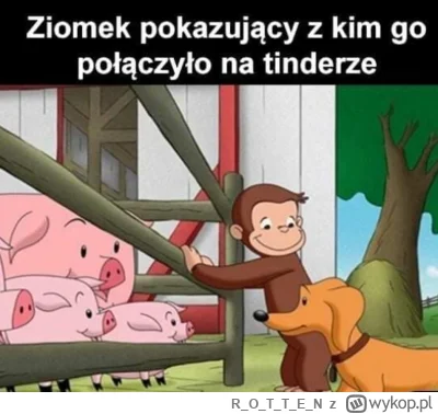 ROTTE_N - #heheszki #humorobrazkowy #tinder 
Locha z młodymi.