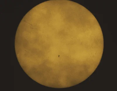 Antybristler - Miałem dzisiaj do wyboru:
1) Odespać nocną zmianę
2) Zapolować na tran...