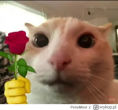 PetalMind - @InnyWymiar90: słodziutki( ͡° ᴥ ͡°)