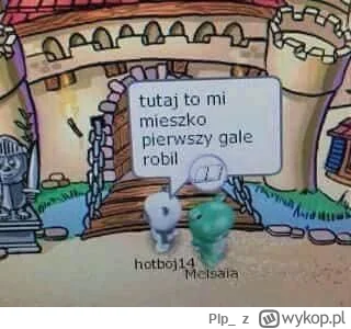 Plp - @wsciekliznairl: