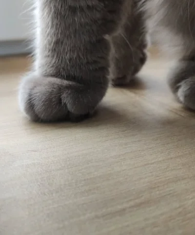 hakeryk2 - @finalsolution77: pozdrawiam (ʘ‿ʘ)