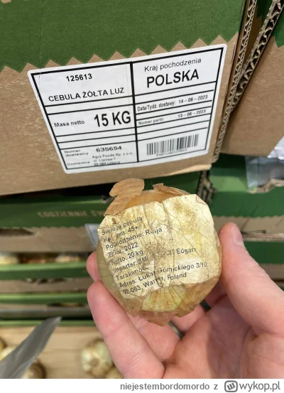 niejestembordomordo - Patrzcie, jaką cebulę dzisiaj w Biedronce kolega znalazł. Polsk...