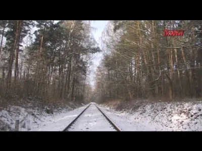 powsinogaszszlaja - Zamieszczam reportaż.

"16 czerwca 1944 roku o godzinie 7 pociąg ...